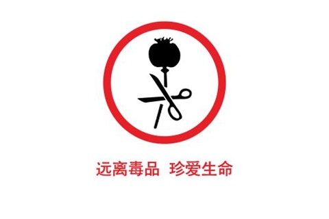 我院開展“厲害了，我的無(wú)毒青春”主題活動(dòng)