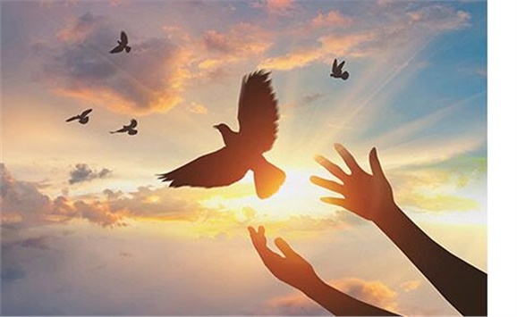 熱烈祝賀經(jīng)貿(mào)物流系嚴(yán)妍、劉志清老師被評(píng)為學(xué)院先進(jìn)工作者
