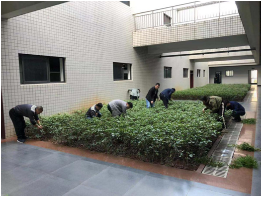守初心、擔使命，助力建設(shè)美麗校園